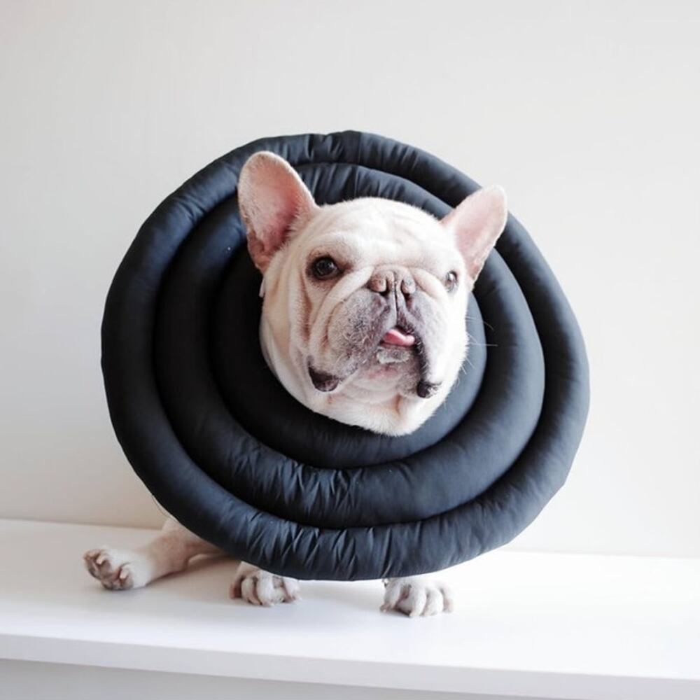 Dog Cat Soft Cone Collar NEW